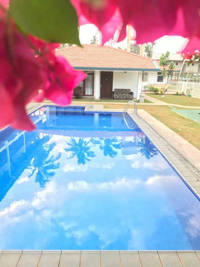 White Rose Beach Resort Marawila Exterior photo